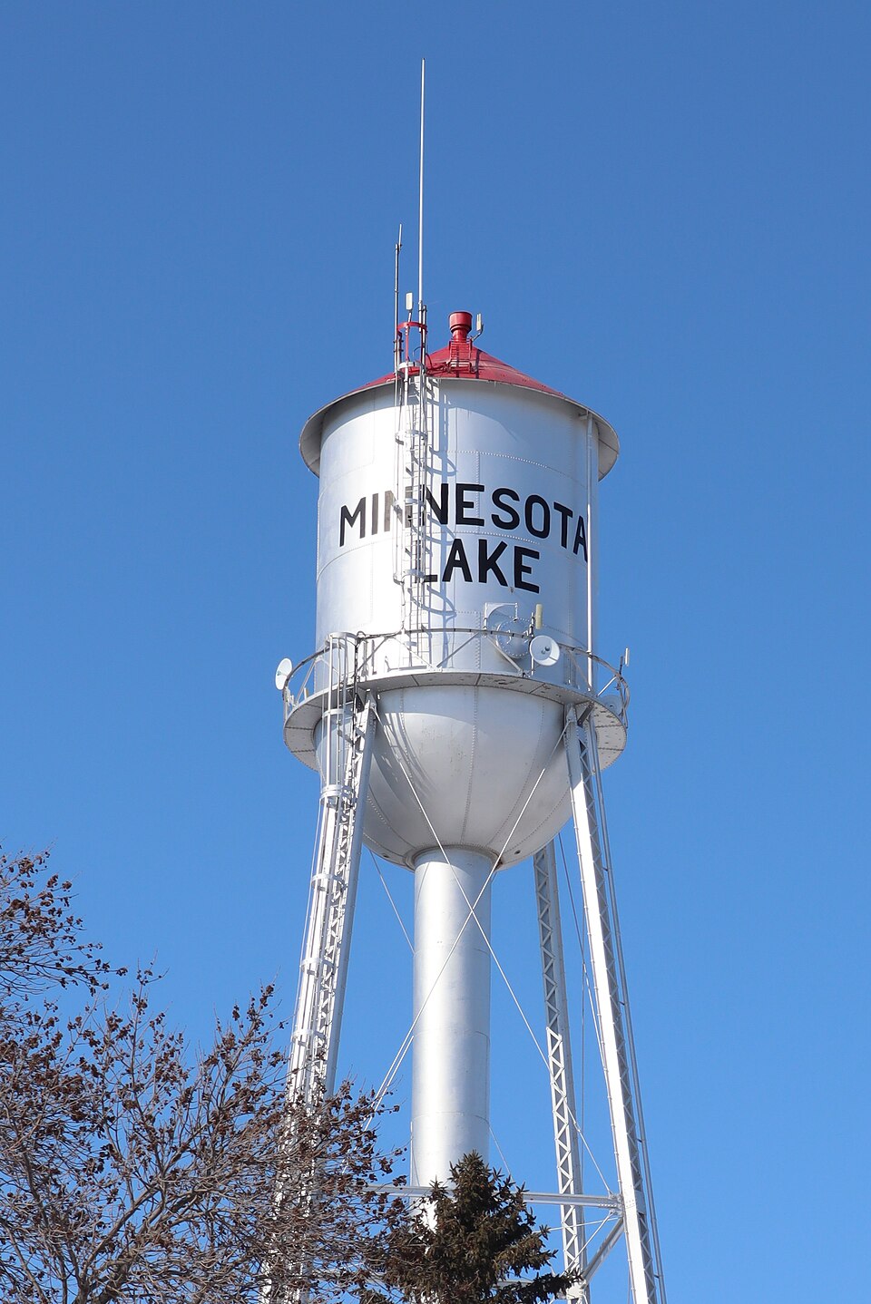 Minnesota Lake Authority
