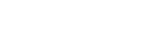 Battle Lake Authority