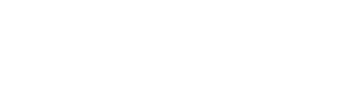 Nett Lake Authority